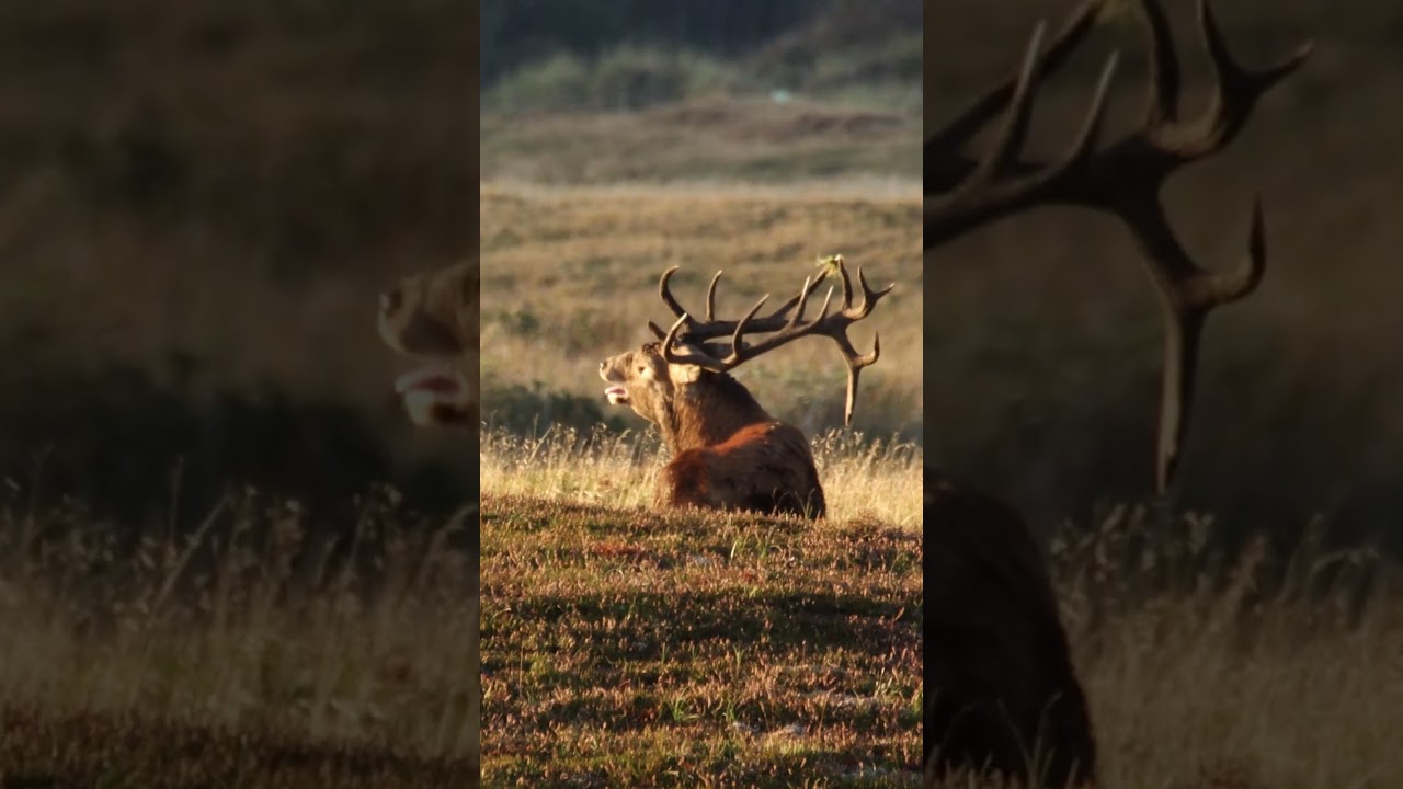 Magnificent Beauty Nature Gives Us                     