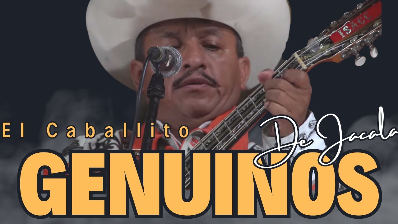 EL CABALLITO por los Genuinos de Jacala en Tamalin