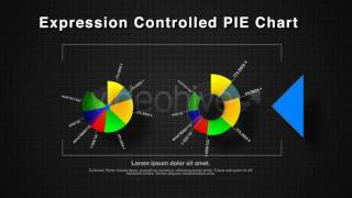 Infographics HD  Expression Controlled Pie Chart  - After Effects template from Videohive
