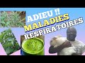 Comment utiliser ces 3 plantes naturelles pour soigner les maladies respiratoires des lapins