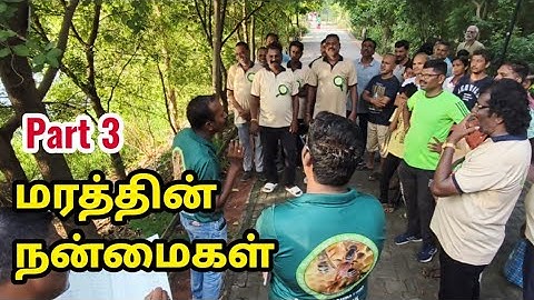Part 3 🌴🌳Identify Trees and Explore Nature on a Walk #ABCFஆவடி பல்லுயிர் பாதுகாப்பு நிறுவனம்