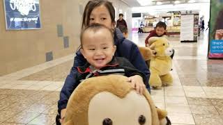 Kids Riding Animal Ride At Fox Mall