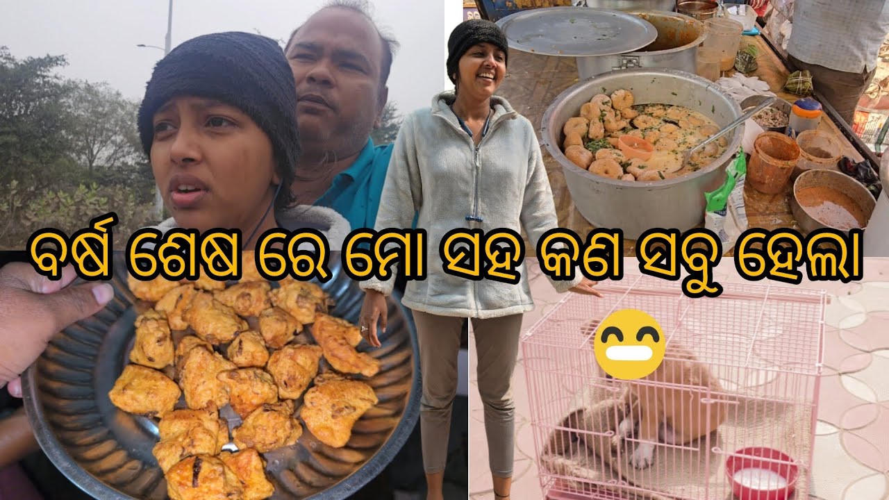ମାମୁ ପାଇଁ ଆଜି କନ୍ଦିଲି | ଘର ପାଇଁ ନେଲି special ଦହିବରା | ଆମ ନୁଆ ଘର member ର ନା କଣ | 