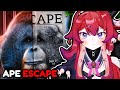 This Ape KEEPS ESCAPING THE ZOO...!? | Joeseppi Reaction