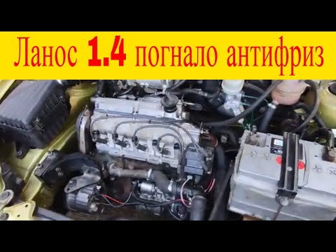 Daewoo Lanos 1.4 двигатель мемз 317 погнало антифриз в камеру сгорания