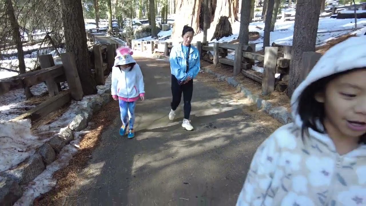 Hiking Around The Congress Trail, Sequoia National Park Part 1