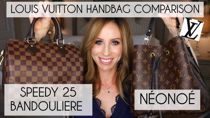 Review of the Adorable Louis Vuitton Speedy 25 - Lollipuff