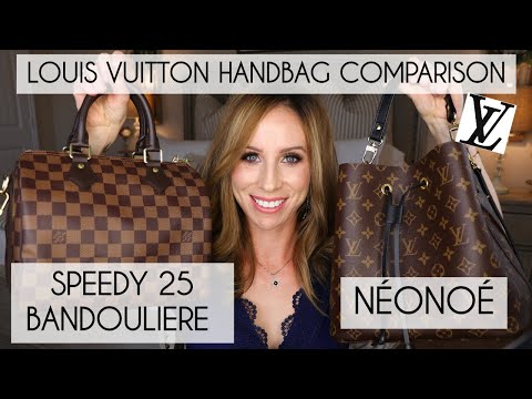 LOUIS VUITTON Speedy B 25 VS Neonoe : Comparison Review 