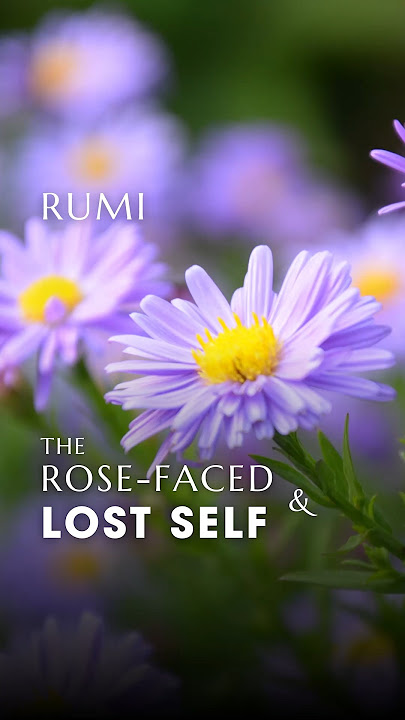 Ep.45. 'The Rose-Faced One & the Lost Self' | Ghazal 2059 Rumi | Podcast #rumi #persian_poetics