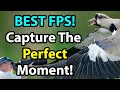FPS: Pro Secrets To Better Keepers And Sharper Shots!