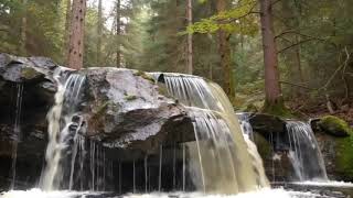 Download Lagu Wali Band Full Album Terbaik | Lagu Santai Buat Kerja - Lagu Pop 2000 an Terpopuler MP3