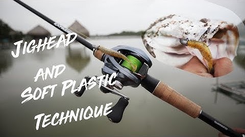 Kỹ Thuật Câu Lure Bằng Mồi Mềm Jighead | Jighead Fishing, Tips & Tactics