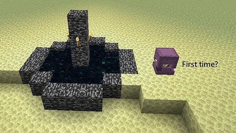 Get shulker into portal