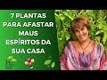 Sensitiva Márcia Fernandes e as 7 Plantas que Afastam Maus Espíritos da sua Casa!