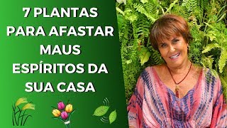 Sensitiva Márcia Fernandes e as 7 Plantas que Afastam Maus Espíritos da sua Casa!