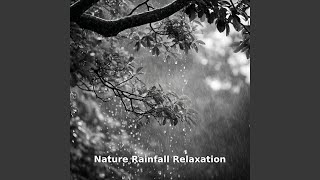 Nature Rainfall Relaxation Drift, Pt.7
