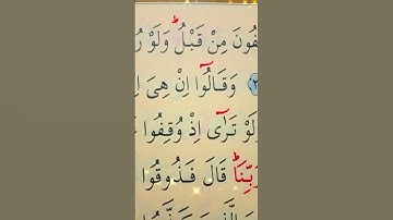 سورة الأنعام الأية 28 إلى 30 القارئ سعد الغامدي