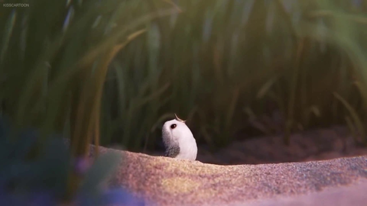 piper short film full video piper short film full video