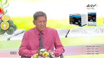 GIẢI PHÁP HỢP TRÍ GIÚP DIỆT CHUỘT HIỆU QUẢ & TIẾT KIỆM