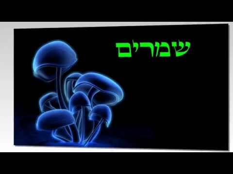 וִידֵאוֹ: כיצד להסיר זיהום מציפורן חודרנית: 9 שלבים