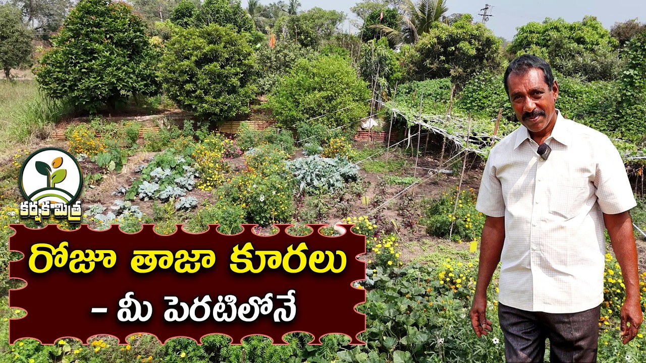పెరటితోట సాగుతో కుటుంబానికి ఆరోగ్య సంపద || Organic Home Farming for Better Health || Karshaka Mitra