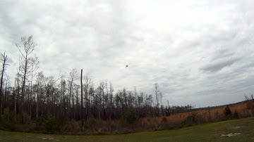 Trex 450 Clone Helicopter w/ Spektrum AR7200BX FBL controller