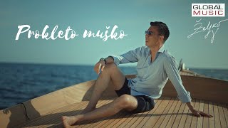 Zeljko Vasic - Prokleto musko (Official Video 2023) chords