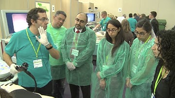 Diagnostic EUS-FNA - Open Hands-on Training