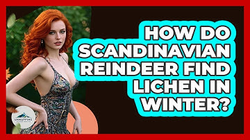 How Do Scandinavian Reindeer Find Lichen In Winter? - Unmapping Scandinavia