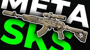 META SKS  build with code - Arena Breakout Infinite - ABI CARBAIN - BUGET GUN - RAT FROM DISTANCE