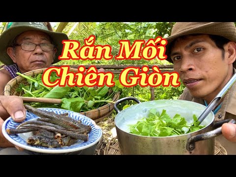 Video Đi Câu Rắn Rắn Mối Đem Về Chiên Giòn & Nồi Cháo Gừng... - youtube
