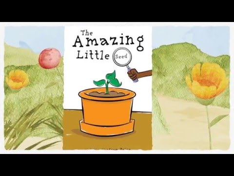 The Amazing Little Seed by Valerie Paine