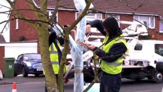 Confused - Accident Avenue