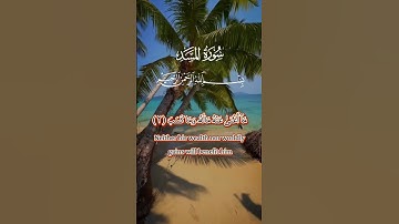 سورة المسد #الله #القرآن #فيروسي #فيديو فيروسي #فيديو فيروسي على يوتيوب #فيديو رائج #سورة المسد