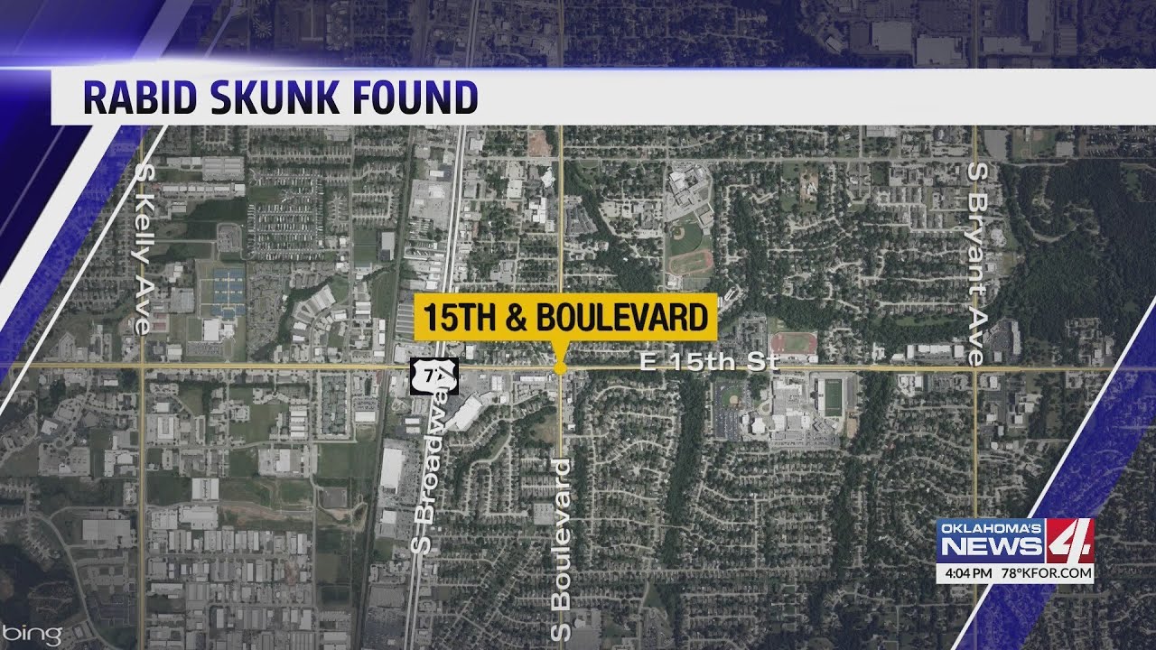Edmond Animal Services issues public safety alert involving rabies positive skunk