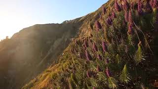 The California Coast  w Music 1 HR HEALING Nature Relaxation Video w Music  1080p