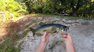 Slam Shady Gets 3 Fish and Bowfishing 3 Talapia. 2 in one shot.Sheriff Deputy Visit.✌