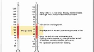 MicroShorts Temp & Growth