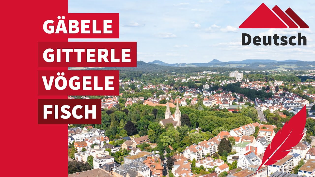 Mehrsprache Stadtführung durch Göppingen in einfacher Sprache (Sprache: Deutsch)