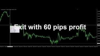 Forex Holy Grail