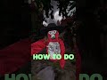 FASTEST Way to Master Gorilla Tag Movement #shorts #gorillatag #vr