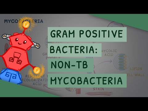 Video: Kokia yra mikobakterijų gramo reakcija?