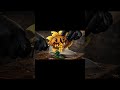 Sunflower Monster ASMR Cutting 🌻🔪