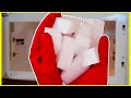 11 SURPRISING Things you Can Clean with MAGIC ERASERS!! (Ultimate Genius Hacks) | Andrea Jean