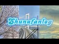 Shunafanlog