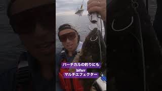 メタルエフェクトステイフォール100gでヒラメ(小)#カヤックフィッシング #バイキングカヤック #jacksonlures