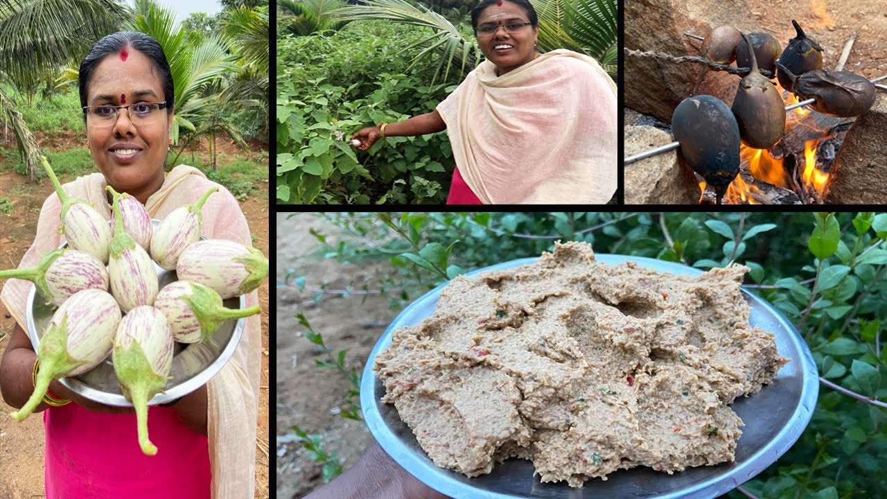 நெருப்பில் சுட்ட கத்திரிக்காய் சட்னி / Farm Fresh Brinjal Chutney / Kathirikaai chutney Recipe Tamil