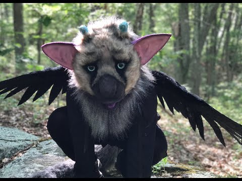 REAL TRICO?!  The Last Guardian 