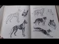 Ken Hultgren -1950 The Art Of Animal Drawing Construction Action Analysis Caricature