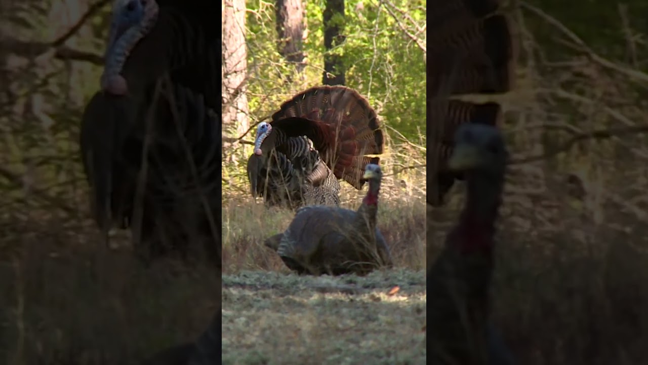 Can't beat moments like these! 